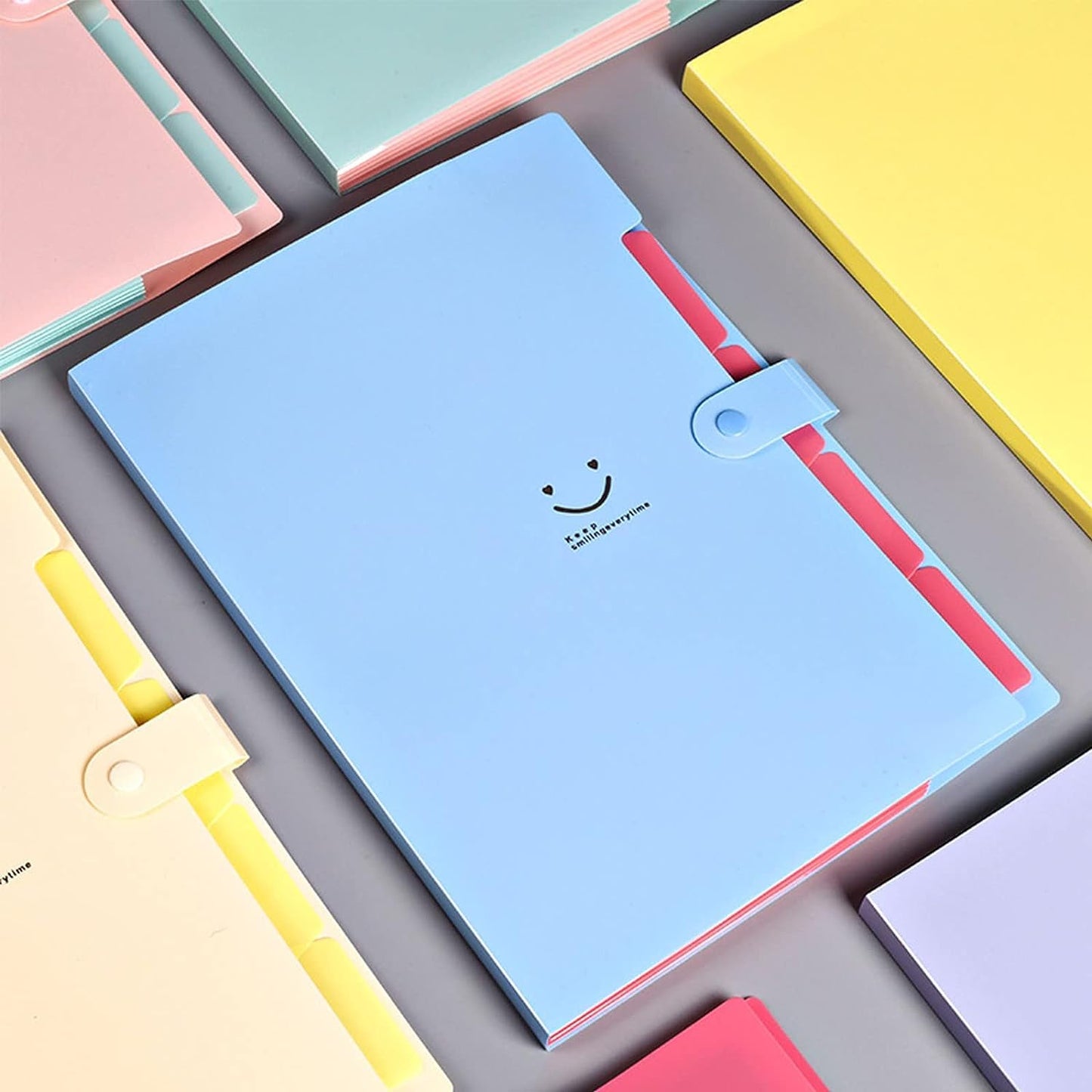 Document folder in A4 format (6 pieces): Organizer folder with 5 compartments & sticky notes