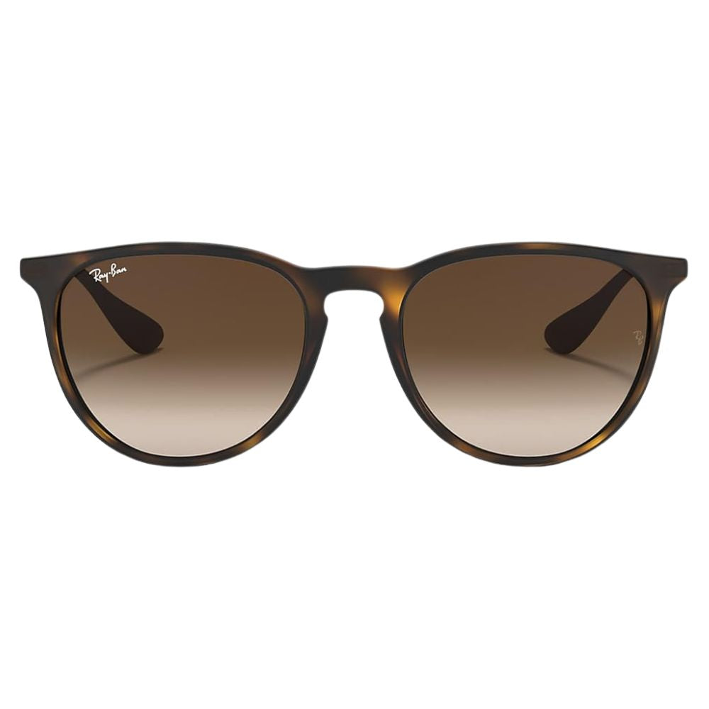 Ray Ban 'RB4171' Erika Panto-Classic Sunglasses Set for Women including Case