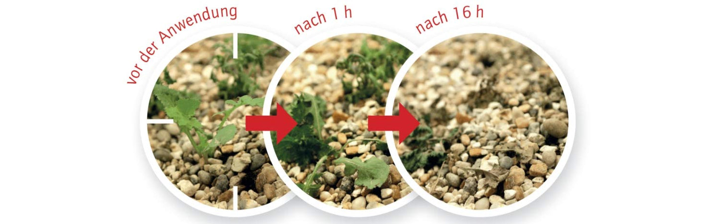 Roundup Unkrautfrei Express (5 Liter): Nachfüll-Kanister, Fertigmischung