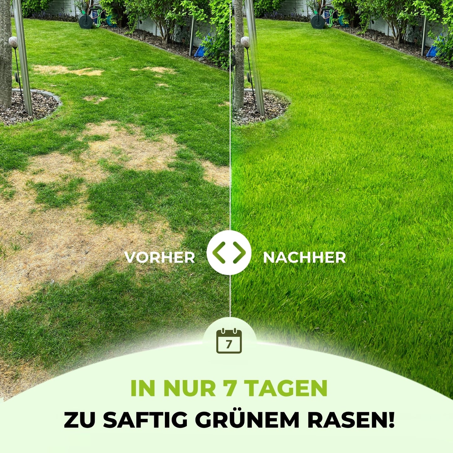 TerraUno Rasendünger für Frühjahr/Sommer: Sofortwirkung - 20kg für 1000m²