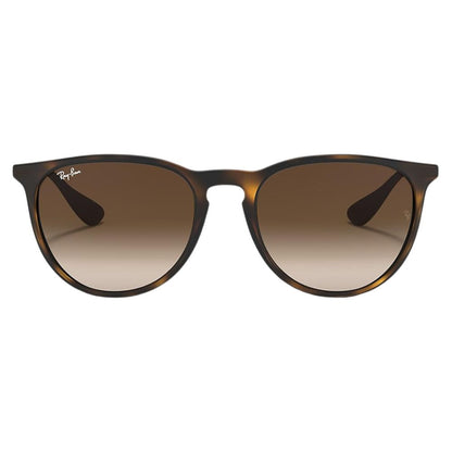 Ray Ban 'RB4171' Erika Panto-Classic Sunglasses Set for Women including Case